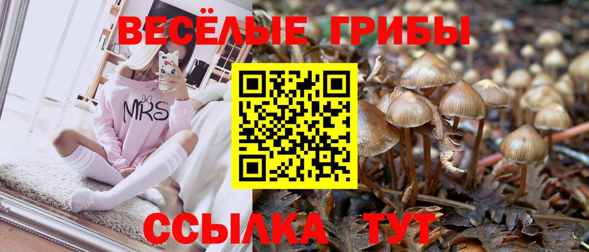 Псилоцибиновые грибы GOLDEN TEACHER  Вход с VPN  Рыбинск 